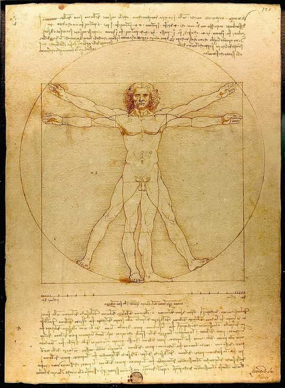 レオナルド・ダ・ヴィンチのウィトルウィウス的人体図:比例と解剖を示した原画