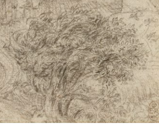 レオナルド・ダ・ヴィンチの『大洪水』スケッチ右下部分の描写